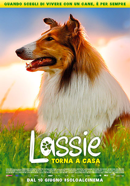 Lassie torna a casa